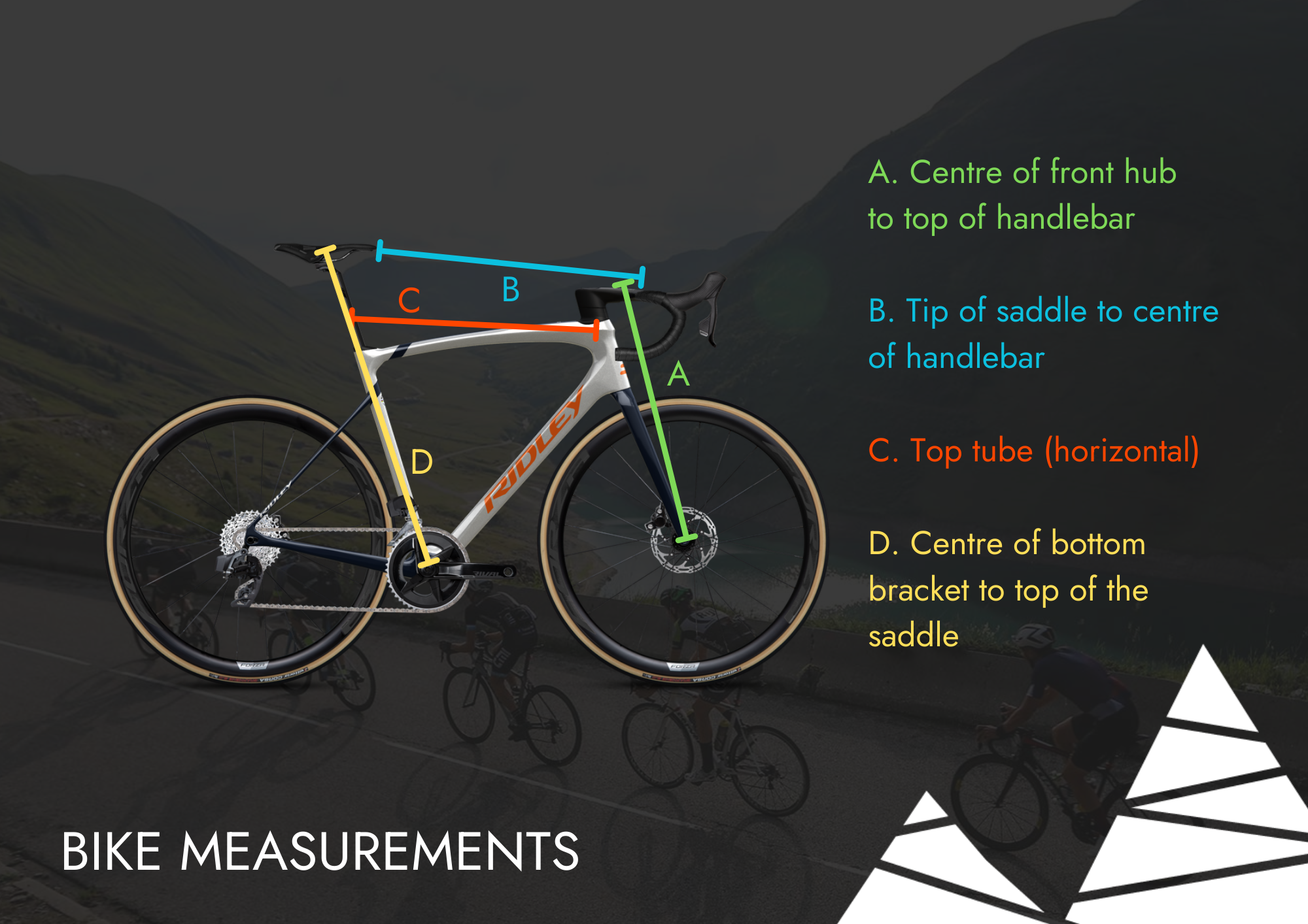 Ridley road bike size chart sale