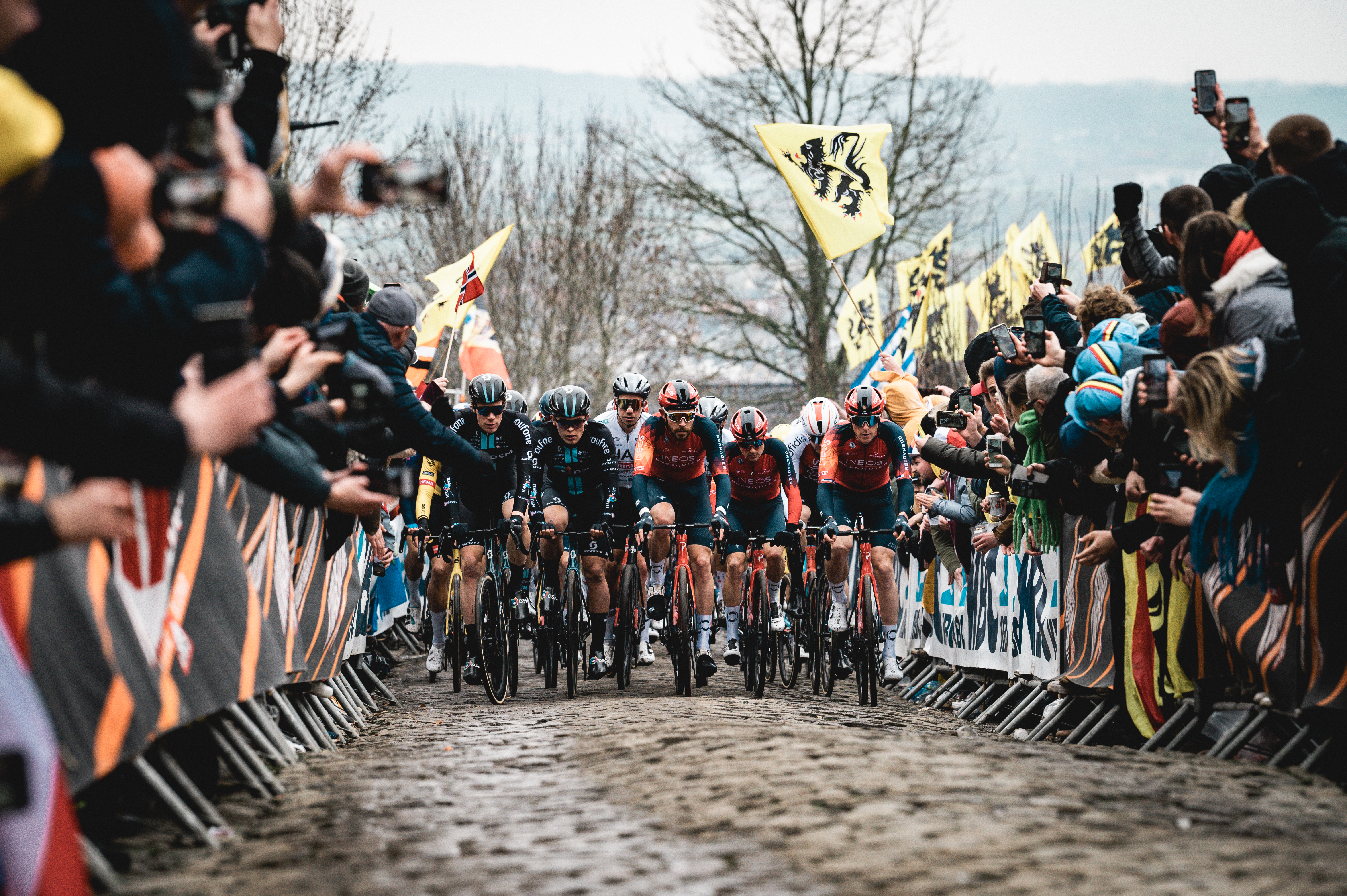 Cyclists vying for position during the Tour of Flanders