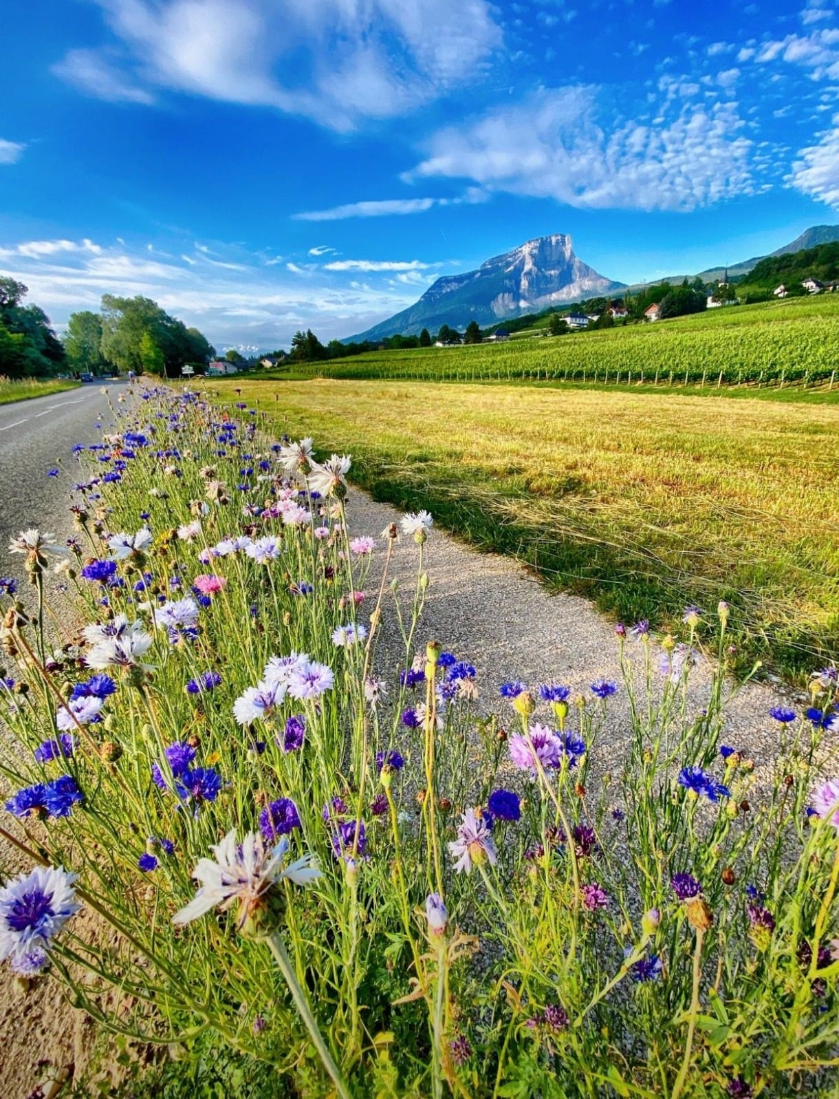 A snapshot of the views on offer on our Alpe d'Huez cycling holidays