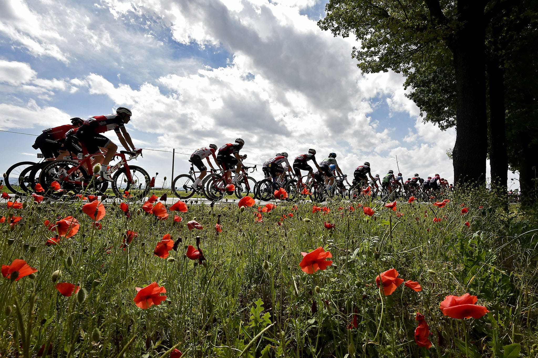 Riders tackle the Etape du Tour de France